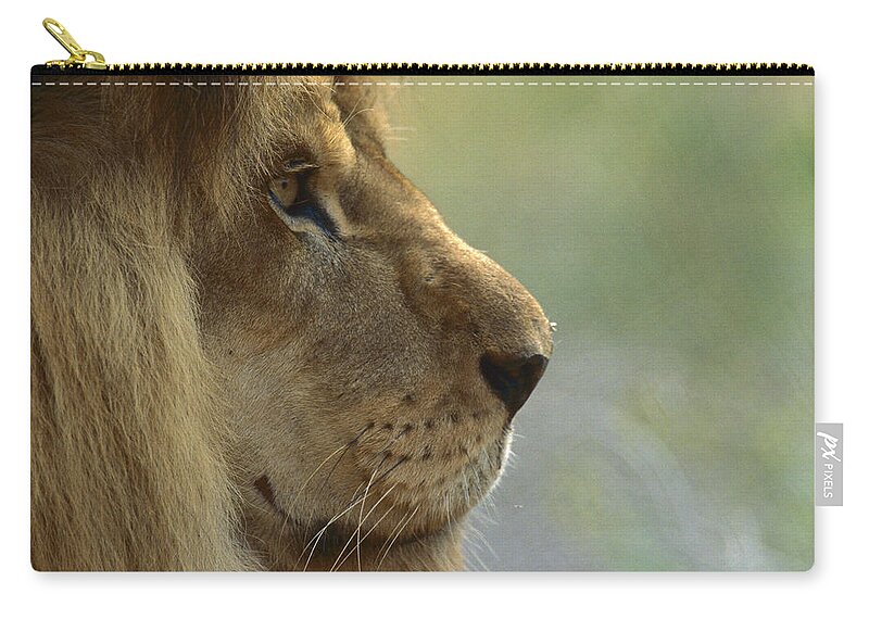 Mp Carry-all Pouch featuring the photograph African Lion Panthera Leo Male Portrait by Zssd
