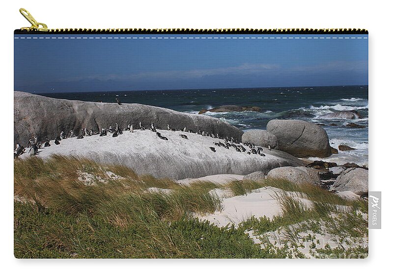 Boulders Zip Pouch featuring the photograph African Penguins by Bev Conover