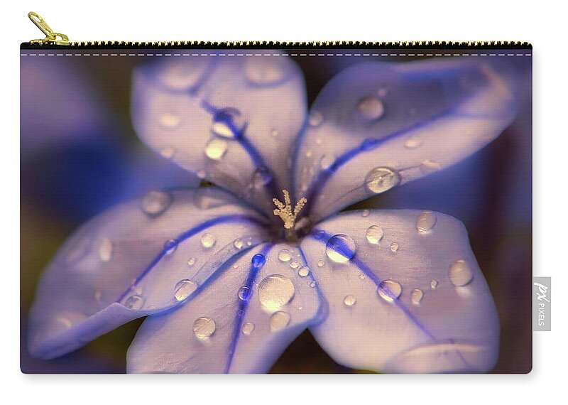 Rain Zip Pouch featuring the photograph After The Rain by Mountain Dreams