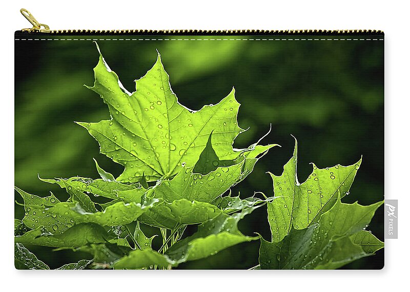 Water Drops Carry-all Pouch featuring the photograph After the rain by Tatiana Travelways