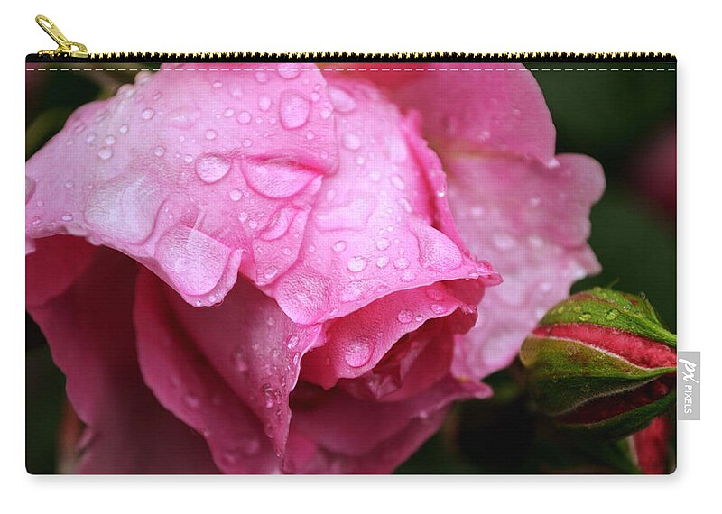 Rose Zip Pouch featuring the photograph After the spring rain by Rumiana Nikolova