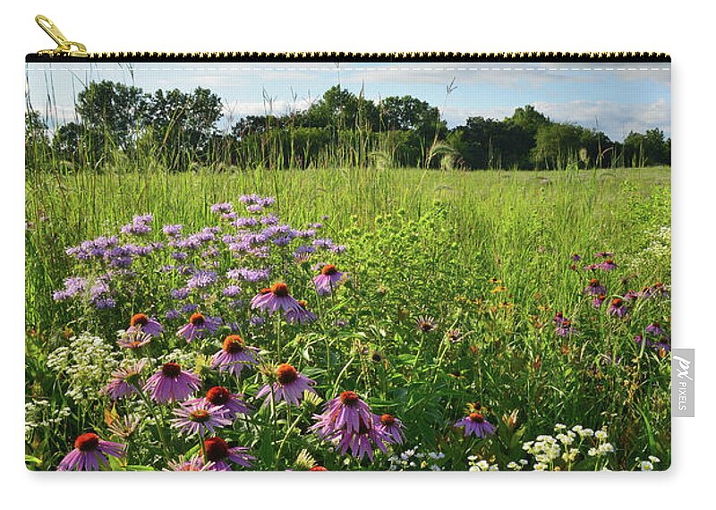 Black Eyed Susan Zip Pouch featuring the photograph Afternoon in Moraine Hills State Park by Ray Mathis