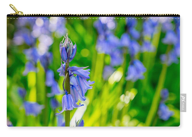 Bluebell Carry-all Pouch featuring the photograph Afternoon Tea by Derek Dean