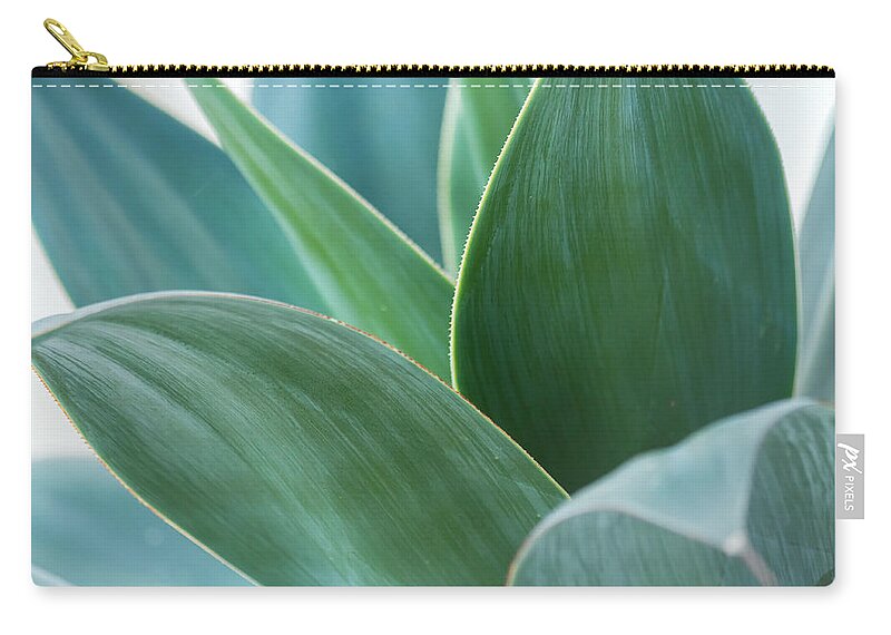 Nature Zip Pouch featuring the photograph Agave 3 by Jonathan Nguyen