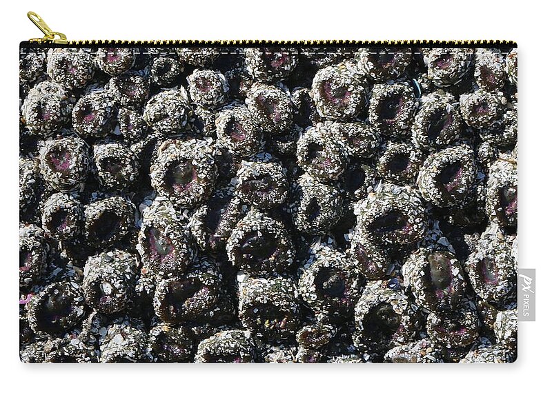 Aggregating Anemones Zip Pouch featuring the photograph Aggregating Anemones by Christy Pooschke