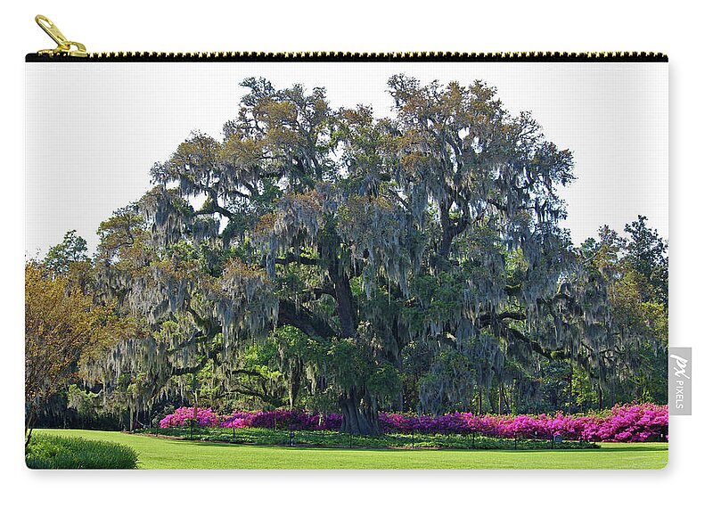 Live Oak Zip Pouch featuring the photograph Airlie Oak In The Spring by Cynthia Guinn