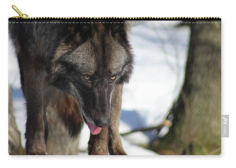 Wolf Carry-all Pouch featuring the photograph Alaskan Tundra Wolf by Azthet Photography