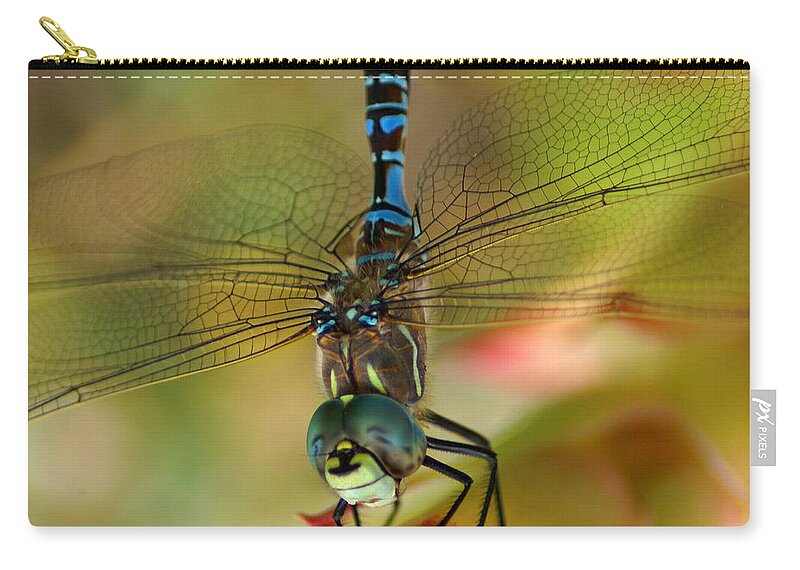 Dragonfly Zip Pouch featuring the photograph All Smiles by Ben Upham III