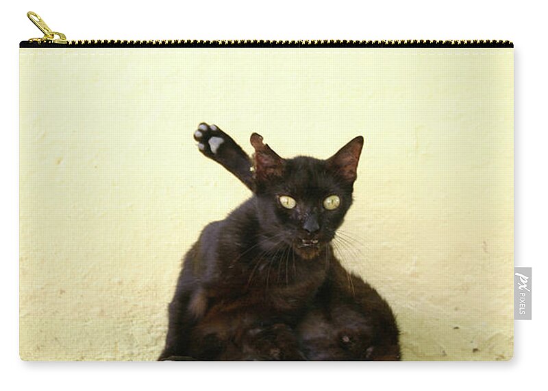 Cat Carry-all Pouch featuring the photograph Alley Cat by Becqi Sherman
