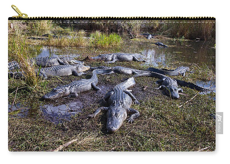Nature Carry-all Pouch featuring the photograph Alligators 280 by Michael Fryd