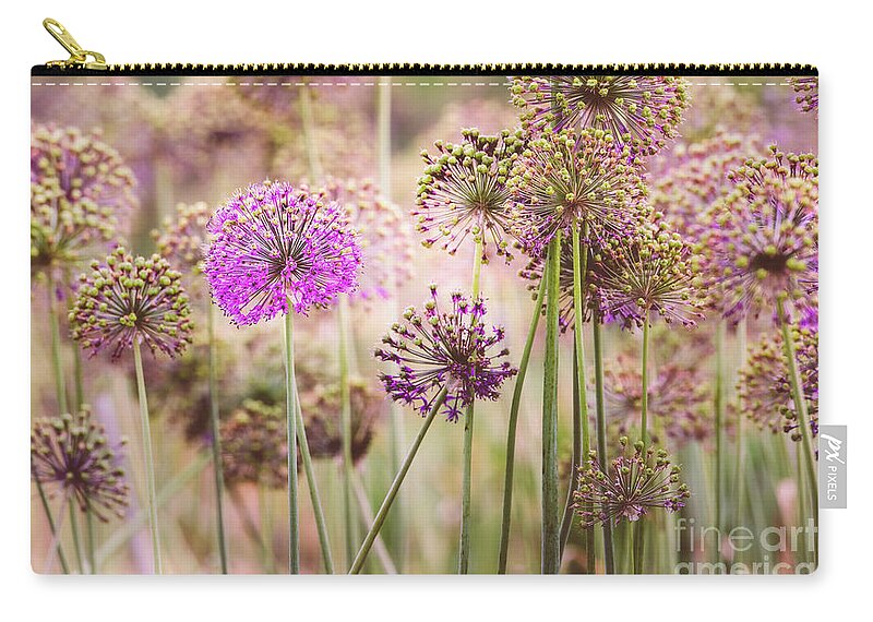 Abstract Zip Pouch featuring the photograph Allium Flowers by Joe Mamer