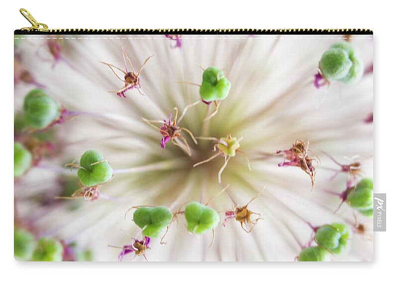 Allium Zip Pouch featuring the photograph Allium Zoom by Diane Fifield