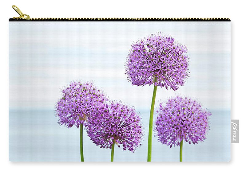 Allium Zip Pouch featuring the photograph Alliums 2 by Garden Gate
