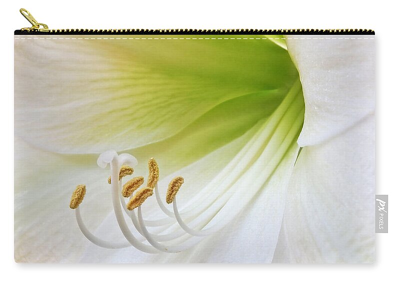 White Amaryllis Zip Pouch featuring the photograph Alluring Amaryllis Square by Gill Billington
