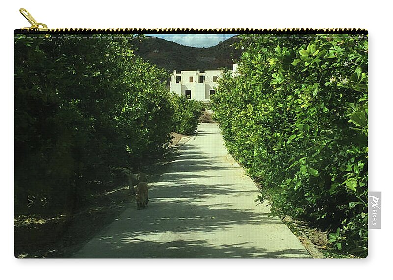 Colette Zip Pouch featuring the photograph Almeria Mountain Road Spain by Colette V Hera Guggenheim