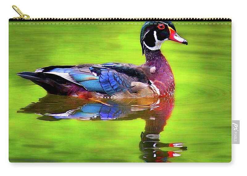 Jean Noren Zip Pouch featuring the photograph Almost Perfect Wood Duck by Jean Noren