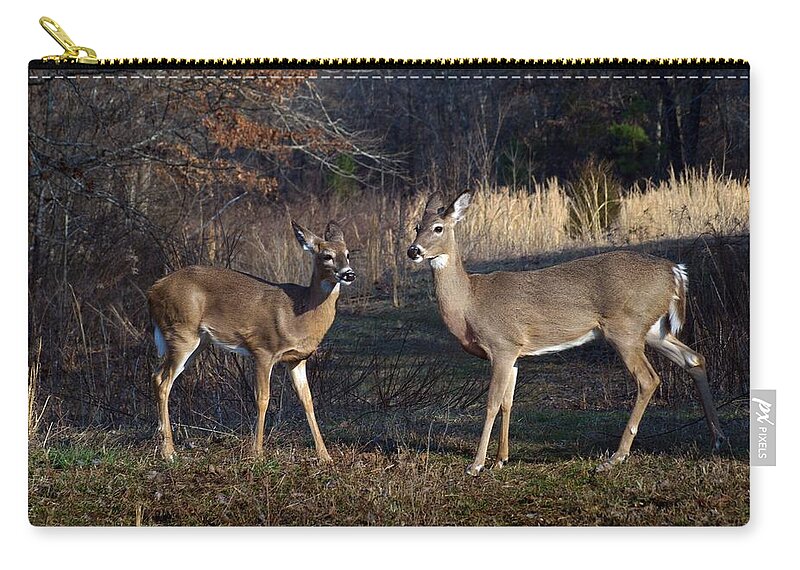Deer Zip Pouch featuring the photograph Almost Spring by Bill Stephens