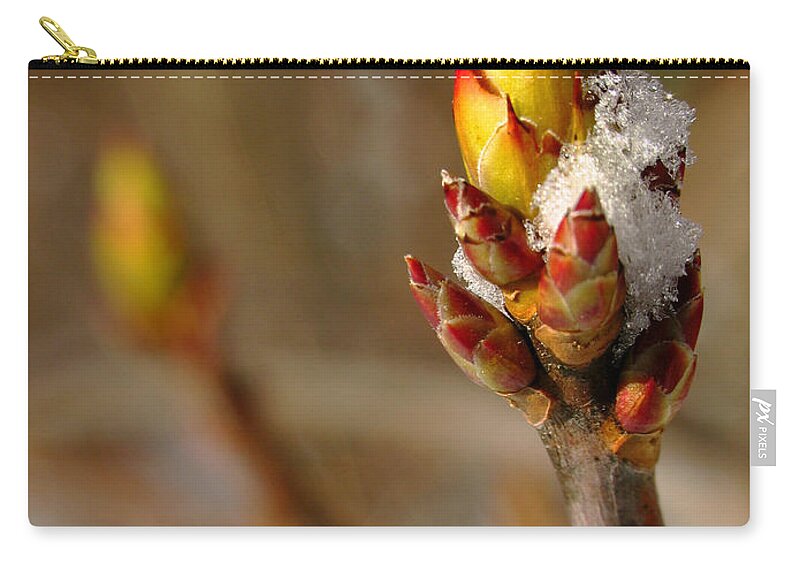 Tree Zip Pouch featuring the photograph Almost There by Juergen Roth