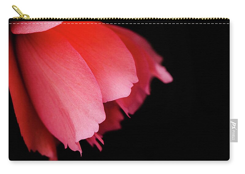  #floral #flower #pink #petal #veins #nature Zip Pouch featuring the photograph Alone In The Dark by Sandra Parlow