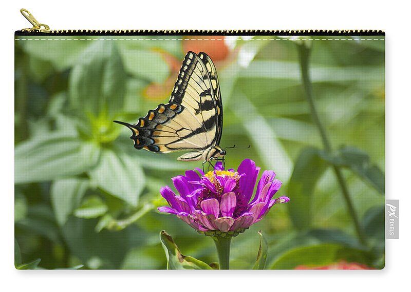Along Zip Pouch featuring the photograph Along Came the Butterfly by Bill Cannon