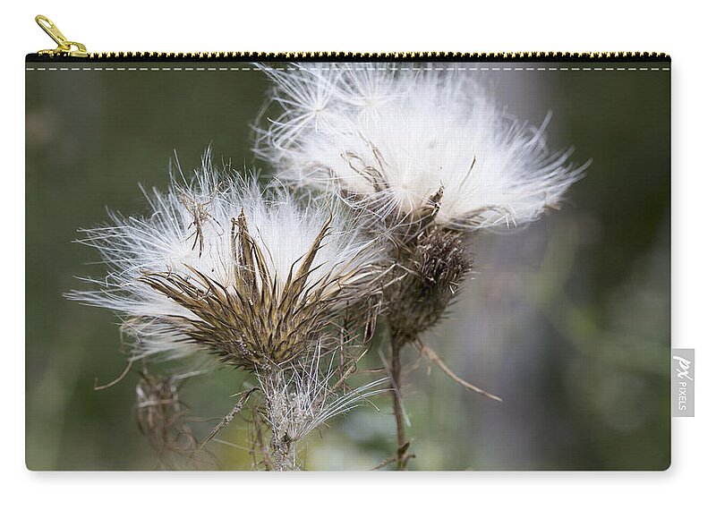 Andrew Pacheco Zip Pouch featuring the photograph Along The Meadow Trail by Andrew Pacheco