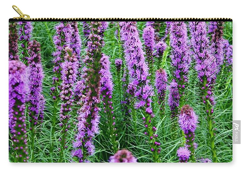 Photograph Zip Pouch featuring the photograph Amazing Blazing Star Flowers in Purple by M E