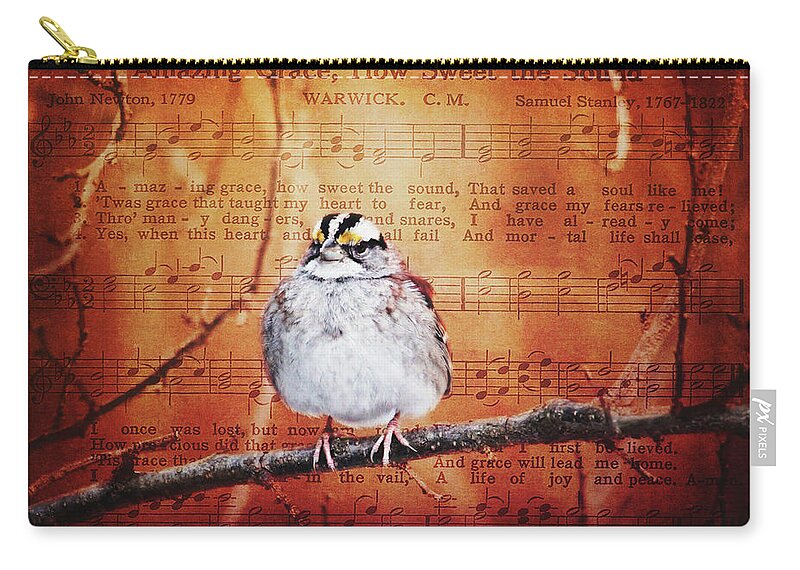Birds Zip Pouch featuring the photograph Amazing Grace by Trina Ansel