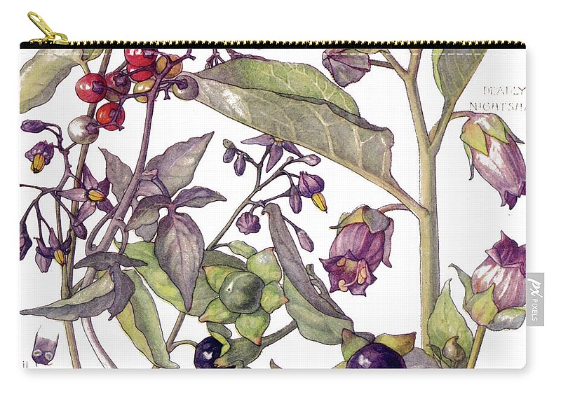 Flowers Zip Pouch featuring the painting Ambrosia IX by Mindy Sommers