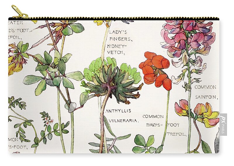 Flowers Zip Pouch featuring the painting Ambrosia V by Mindy Sommers