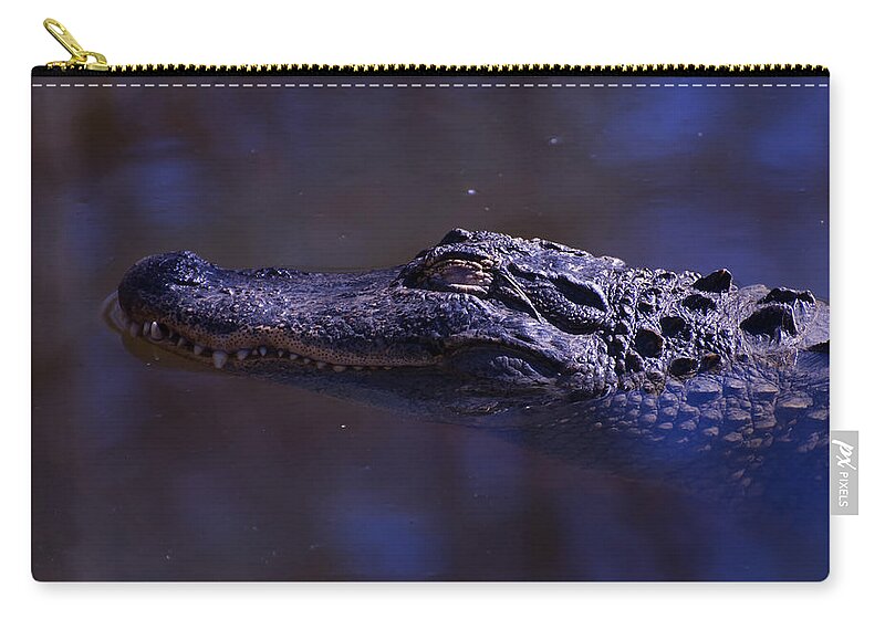 Alligator Mississippiensis Zip Pouch featuring the photograph American Alligator sleeping by Flees Photos