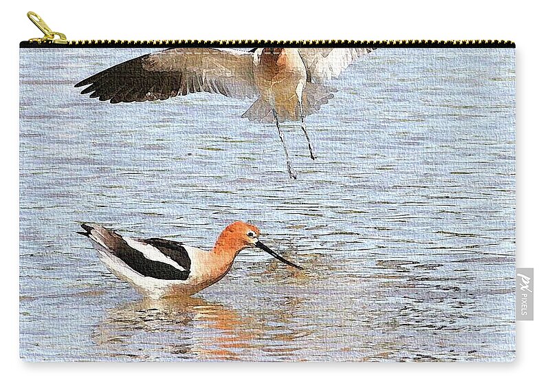 American Avocets Zip Pouch featuring the photograph American Avocets by Tom Janca