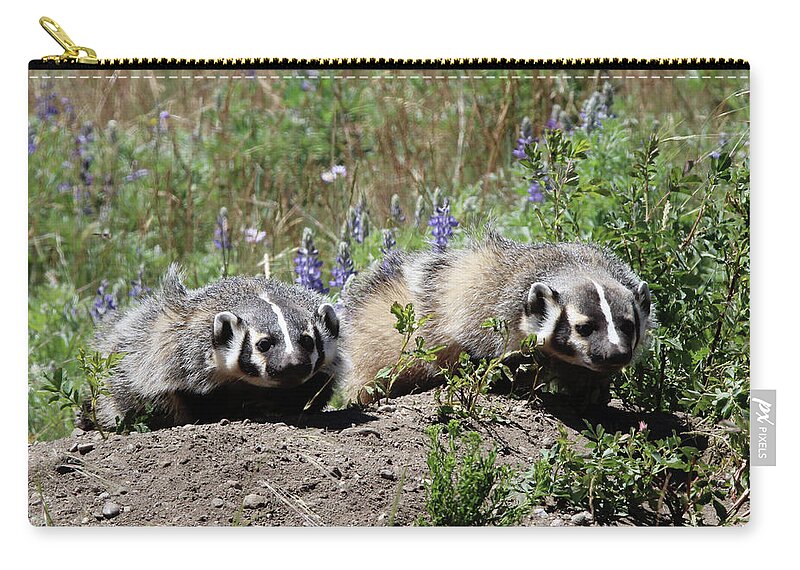 Badger Zip Pouch featuring the photograph American Badger Yellowstone USA by Bob Savage