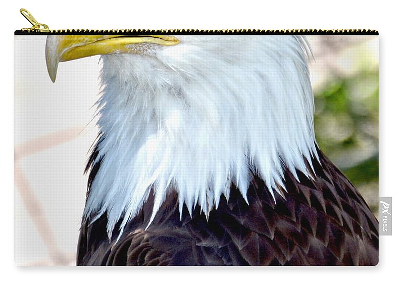 Eagles Zip Pouch featuring the photograph American Bald Eagle by Amy McDaniel