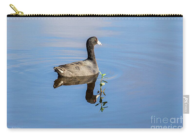 American Coot Zip Pouch featuring the photograph American Coot by Rene Triay FineArt Photos