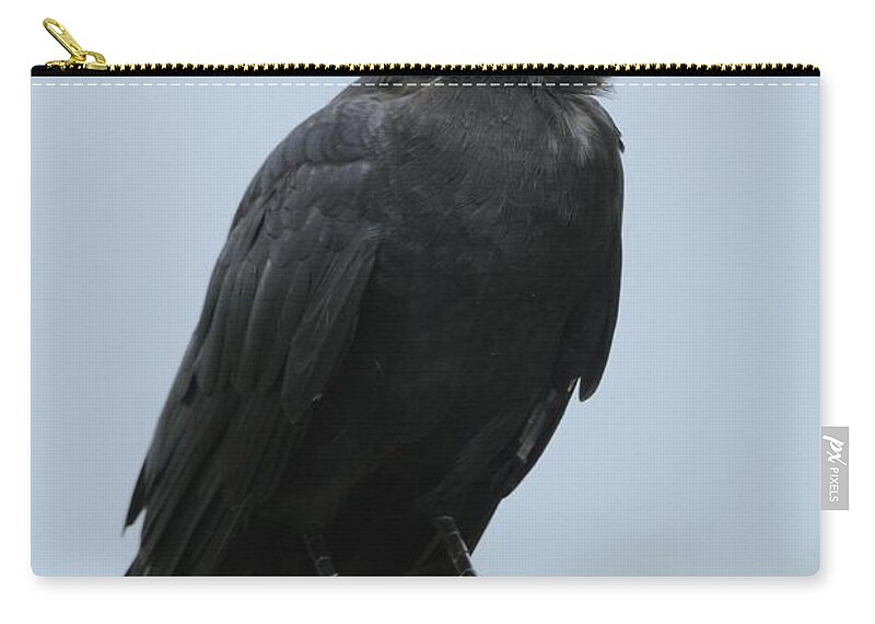 Crow Zip Pouch featuring the photograph American Crow on a Post by Bradford Martin