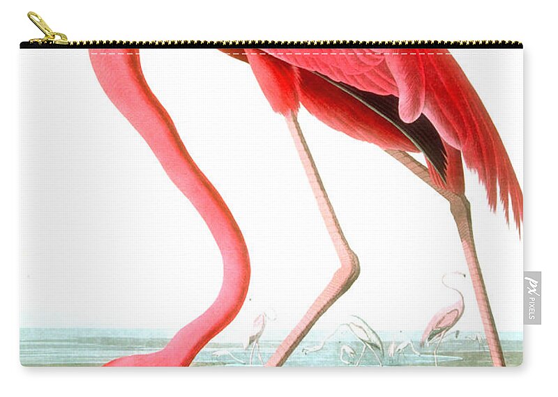 Bird Zip Pouch featuring the painting American Flamingo by John James Audubon