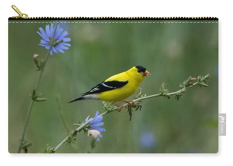 American Goldfinch Carry-all Pouch featuring the photograph American Goldfinch   by Holden The Moment