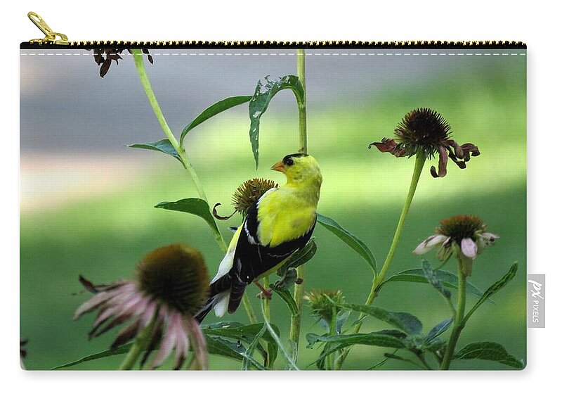 Bird Zip Pouch featuring the photograph American Goldfinch by Keith Stokes
