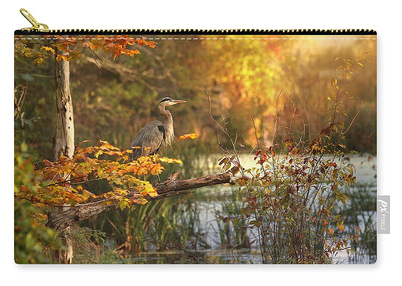 Blue Heron Zip Pouch featuring the photograph Among the Beauty by Rob Blair