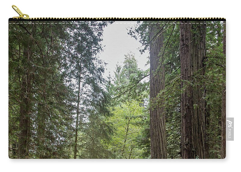 Prairie Creek Redwoods State Park Zip Pouch featuring the photograph Among the Redwoods by Jurgen Lorenzen