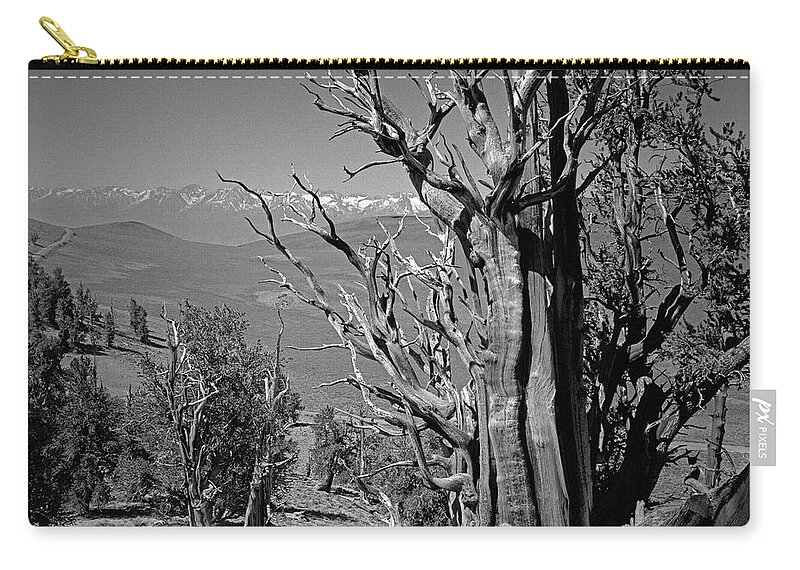 Bristlecone Pine Carry-all Pouch featuring the photograph Ancient Bristlecone Pine Tree, Composition 4, Inyo National Forest, White Mountains, California by Kathy Anselmo