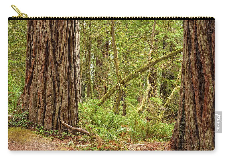 Landscape Zip Pouch featuring the photograph Ancient Forest by John M Bailey