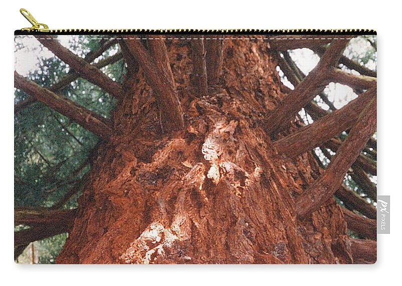 California Zip Pouch featuring the photograph Ancient NoCal Resident Photograph by Kimberly Walker