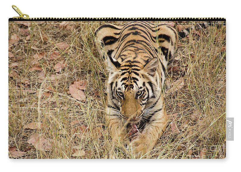 Tiger Zip Pouch featuring the photograph And A Bone To Chew On ... by Pravine Chester
