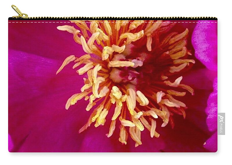 Beauty Carry-all Pouch featuring the photograph Anemone by Denise Railey