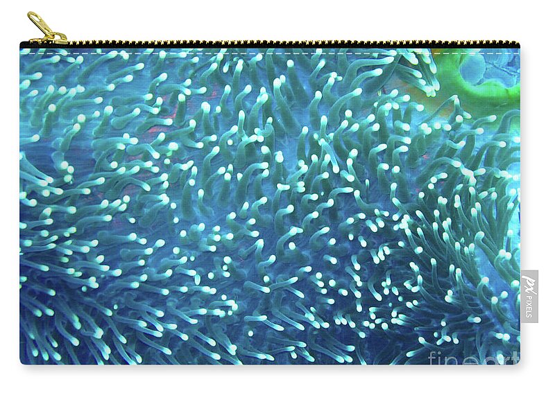 Anemone Carry-all Pouch featuring the photograph Anemone Galaxy by Becqi Sherman