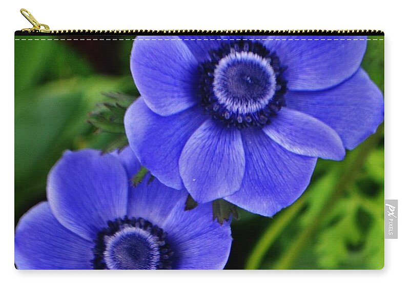Flowers Zip Pouch featuring the photograph Anemone Nemorosa by Eileen Brymer