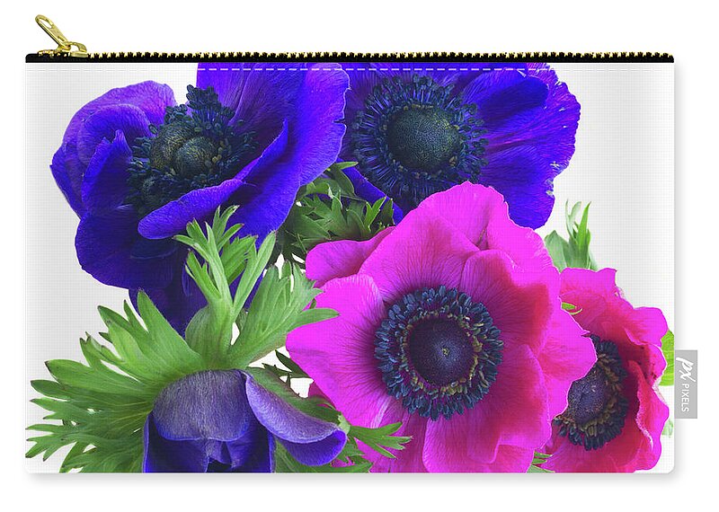 Anemone Zip Pouch featuring the photograph Anemones Posy by Anastasy Yarmolovich