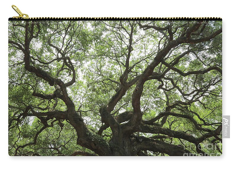 Angel Oak Zip Pouch featuring the photograph Angel Oak Branches by Carol Groenen