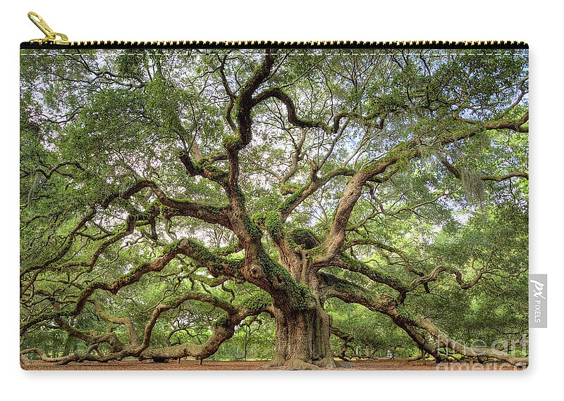 Angel Oak Tree Zip Pouch featuring the photograph Angel Oak Tree of Life by Dustin K Ryan